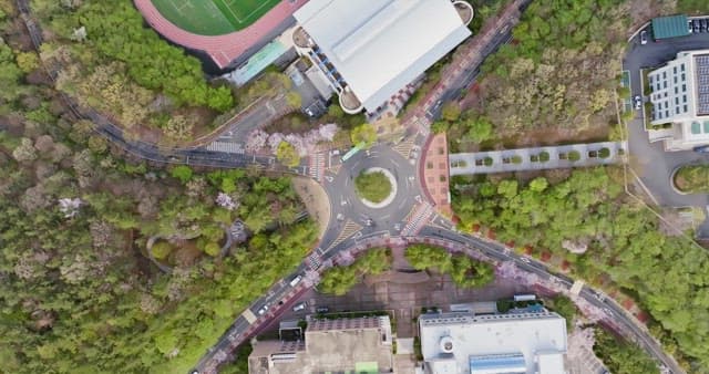 Roundabout surrounded by greenery