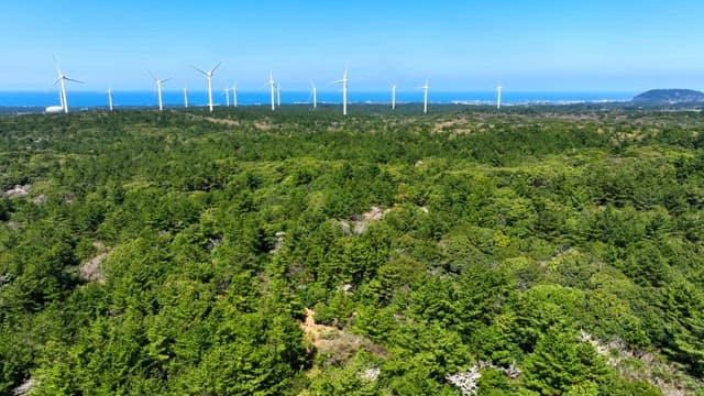 Wind turbines over a lush green forest