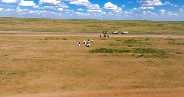 People exploring a vast open field