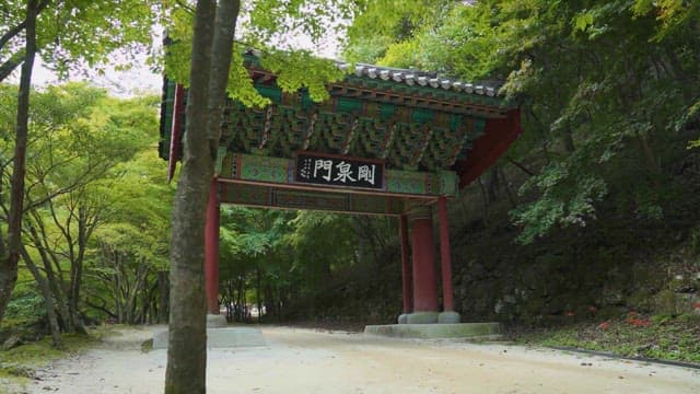 Serene Traditional Korean Gateway in Forest