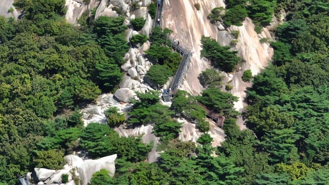 Mountain trail with hikers and lush greenery