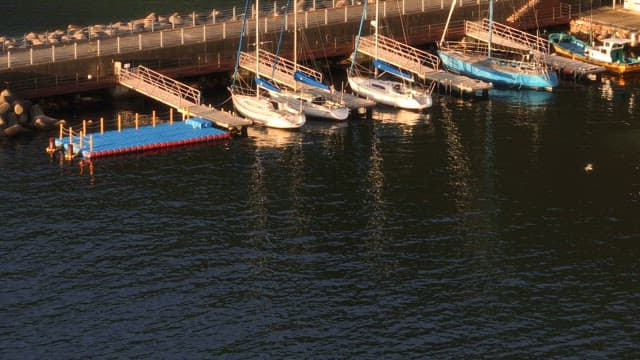 Boats docked at a marina in the evening