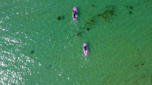 Paddleboarders Navigating Clear Waters