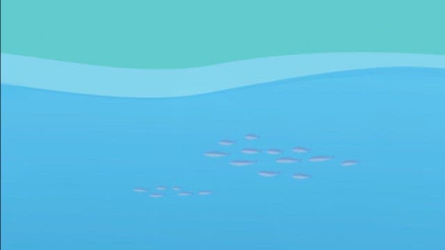 Animated film of fishing boat catching fish in the sea