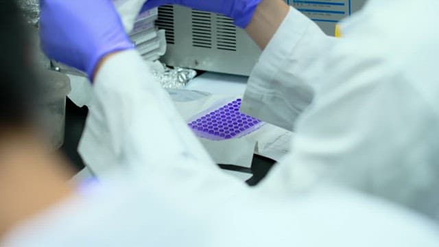 Scientist handling lab equipment