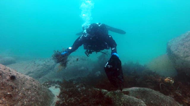 Scuba diver cleans underwater environment in the ocean