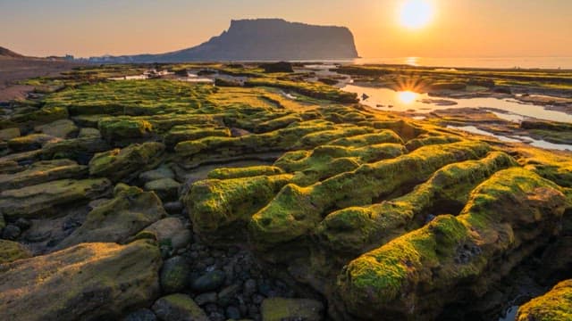 Coastside in Jeju Island with a view of Seongsan Ilchulbong Tuff Cone in the morning