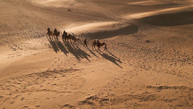 Camels and people walking in the desert