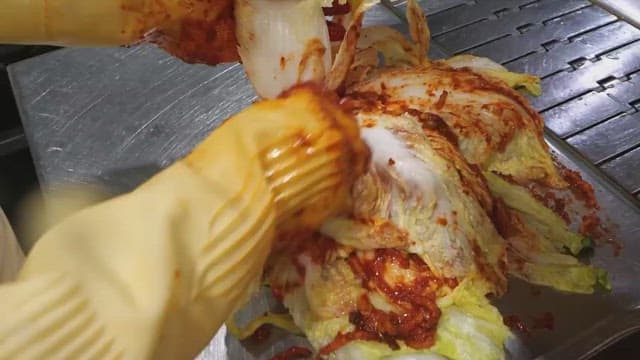 Making kimchi by adding chili pepper seasoning to cabbage