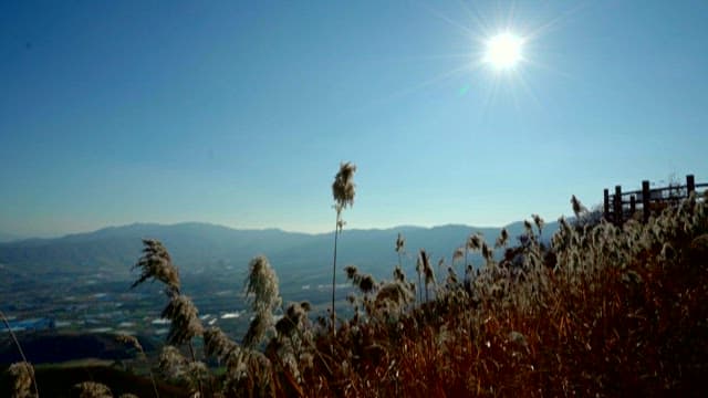 Serene Landscape at Mountain Summit