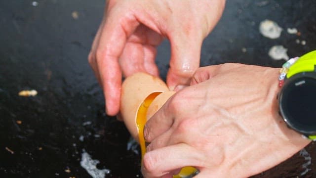 Megapode egg being cracked and cooked on a pan