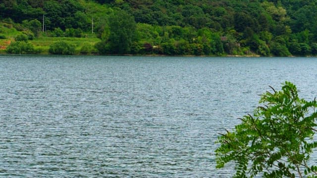 Peaceful lake surrounded by lush greenery on a bright afternoon