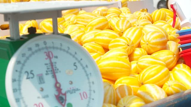 Well-ripened Korean Melons and Scale on Display at a Market
