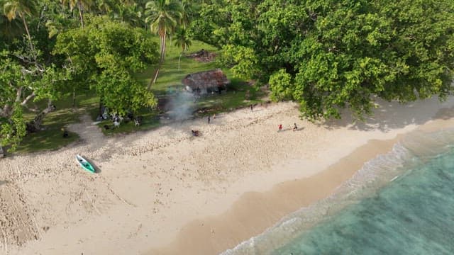 Tropical beach on an island with green trees