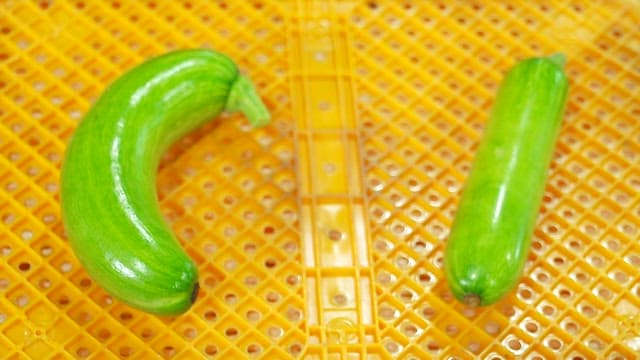 Green zucchini on a yellow plastic box