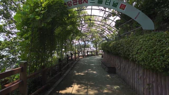 Sunny walkway through vibrant green park