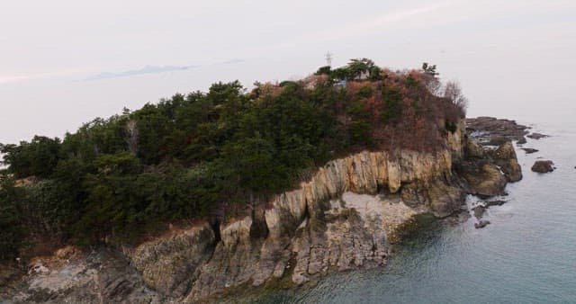 Coastal Cliff with Lush Greenery and Sea