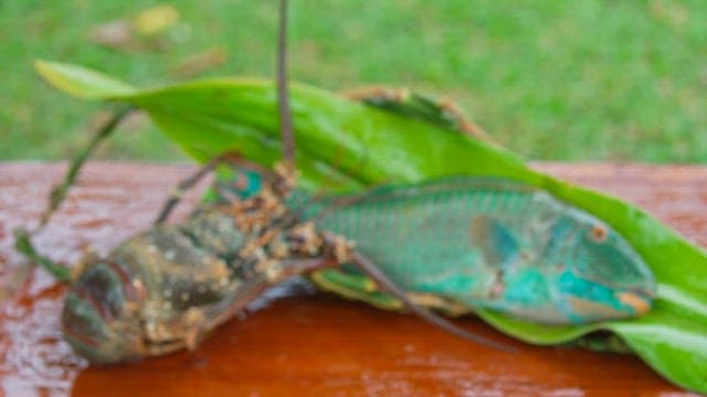 Fresh crayfish and parrotfish on wooden table