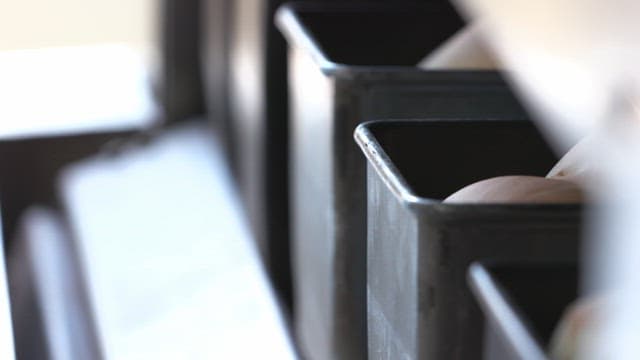 Bread dough rising in metal pans