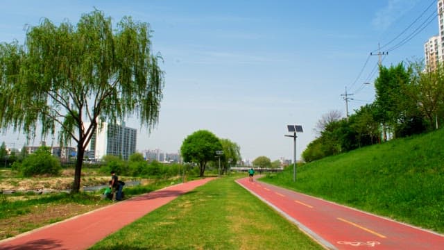 People walking in a park with trees and trails on a sunny day