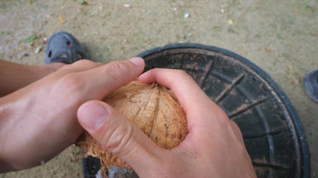 Hands cracking open a coconut