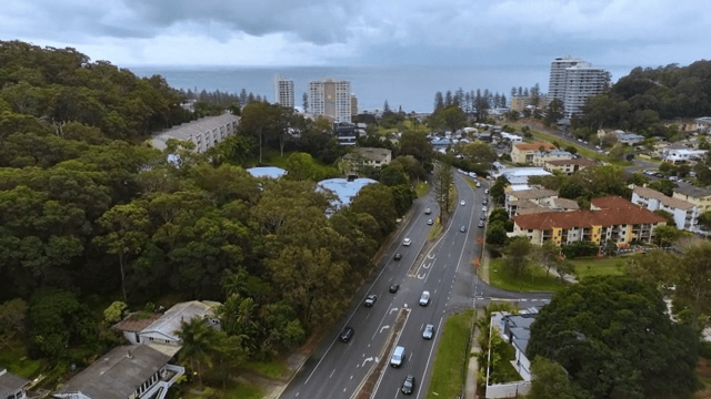 Coastal Road Surrounded by Greenery