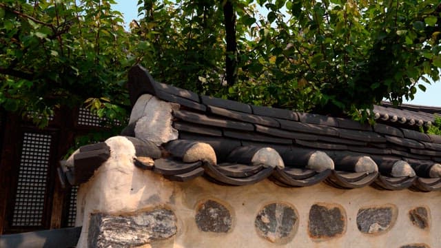 Hanok with a tree in the front yard
