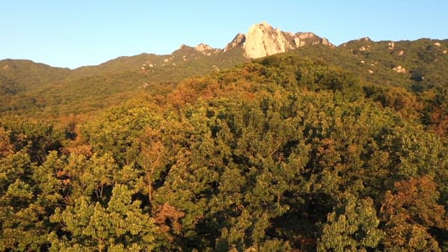 Rocky mountain with a view of a lush, green forest