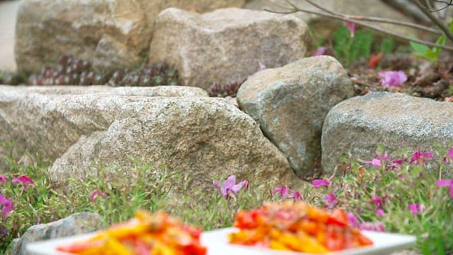Stir-fried yellow and red peppers on a stone