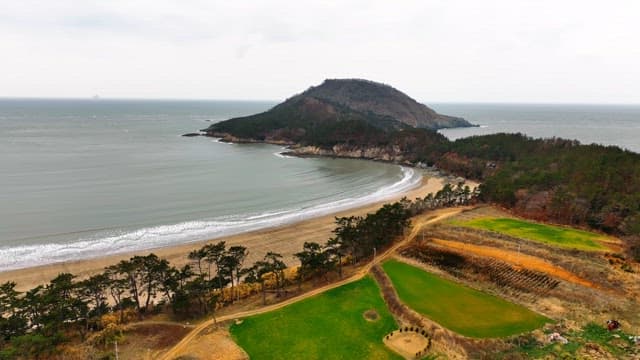 Serene beach with a distant island