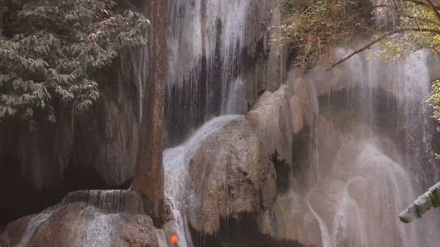 Majestic Waterfall Cascading over Rocks in Forest