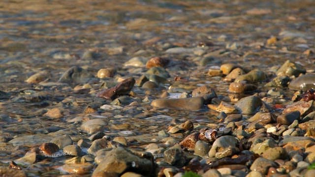 Waves gently washing over pebbles