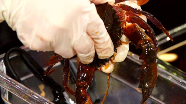 Preparing fresh soy sauce marinated crab with gloved hands