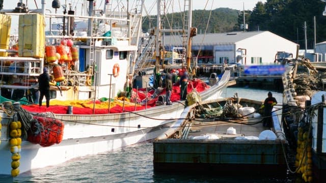 Busy port with fishermen preparing their nets and gear