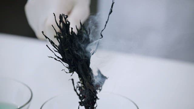 Experiments using liquid containing chemical indicators