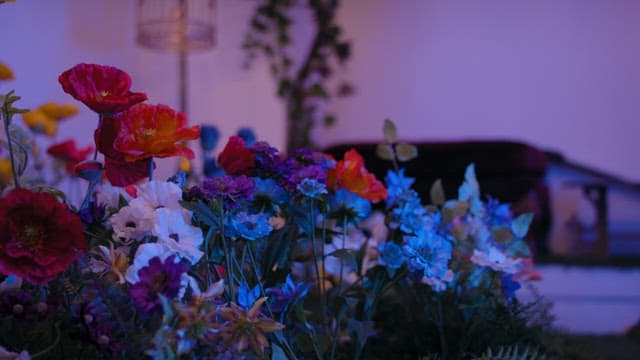 Flower Garden Set Under Lights Representing Dusk