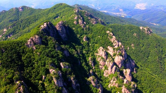 Majestic rocky mountain covered with green, fresh trees