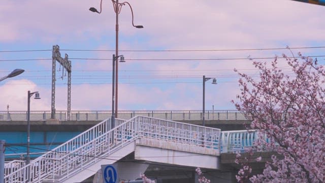 Train passing over a bridge with spring scene