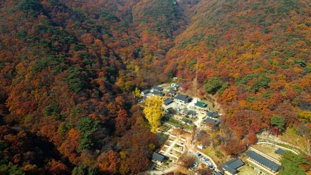 Serene temple surrounded by colorful autumn foliage
