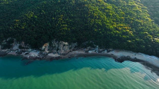 Aerial view of a forested coastline