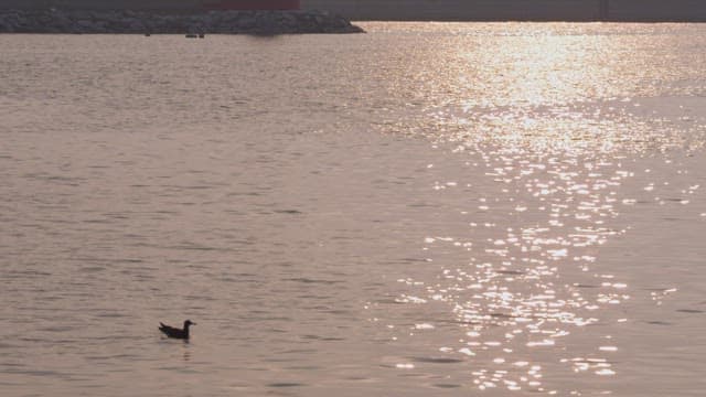 Serene Lake at Twilight with Duck
