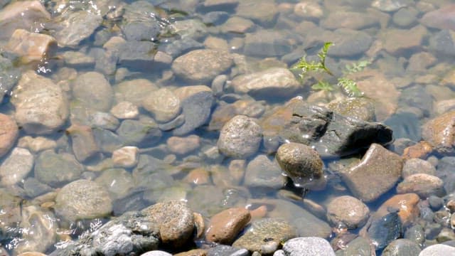 Clear water flowing over river rocks