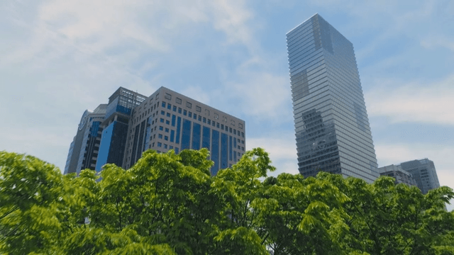 High-Rise Buildings Visible Beyond the Fresh Trees