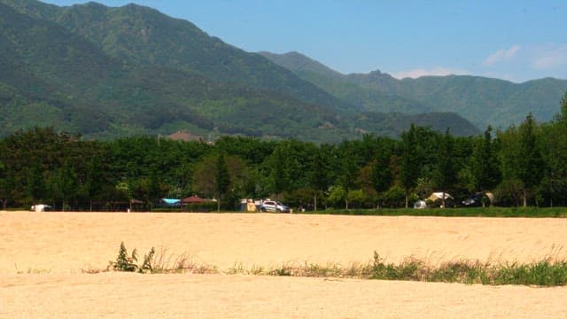 Scenic view of mountains and forest with tents and parked cars