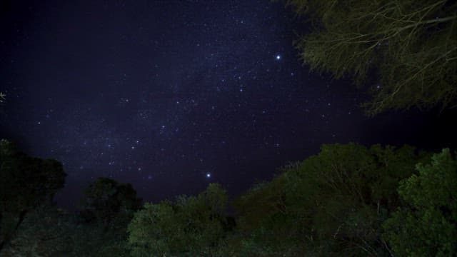 Tranquil Starry Night over Serene Grassland