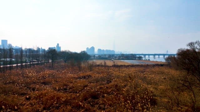 Han River Park with a Blurry Skyline