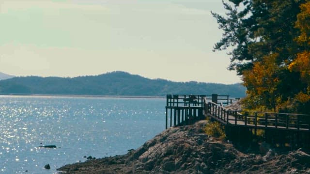 Serene Waterfront Walkway Amidst Autumn Foliage