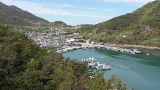Port with fishing boats anchored in a small coastal town
