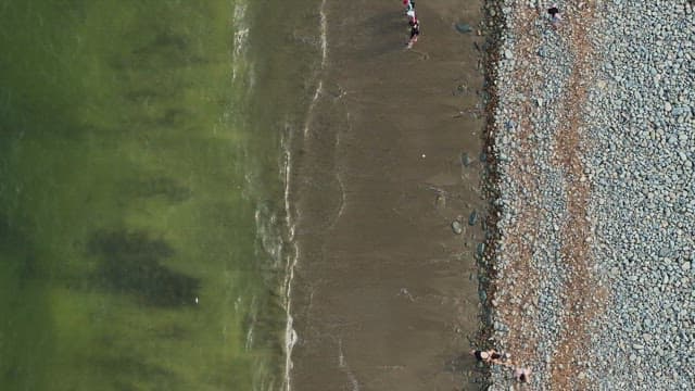 Beach with waves and people