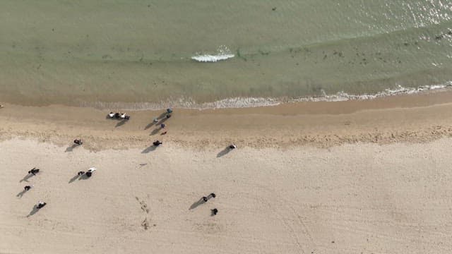 People walking along a sandy beach